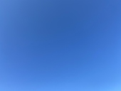 釈迦