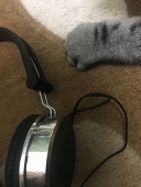 ｷﾝﾉﾓｸｾｲ
