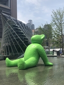あいる
