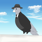 Hato鳩