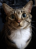 冬里ゆき