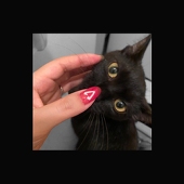 (　˙-˙　)