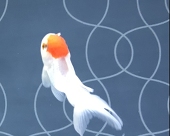 えんどう