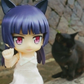 黒狐P