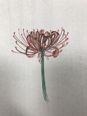 まる