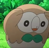 未定