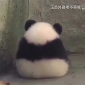 赧然
