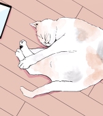 パンみみ