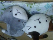 しーこ
