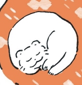 koguma