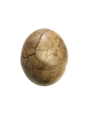 Tea Egg