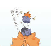 Saneko