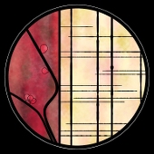 繖音