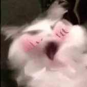 221