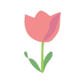 momoka