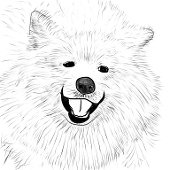 さもゑど