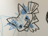hisa
