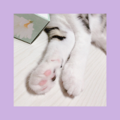 リュウ酸