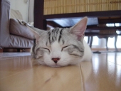 くそおたく
