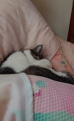 くらゆう