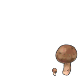 松茸