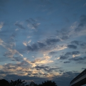 霜月 蓬