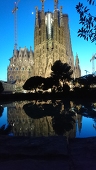 ぽん
