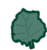 shiso
