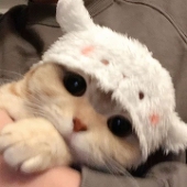🦷ん