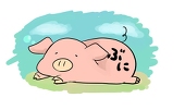 ぶにどん