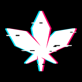 藍楓 Bluemaple