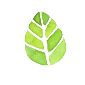 山口