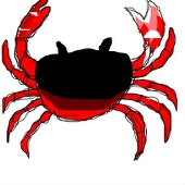 shindoalto