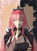 Silent Admirer