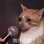 zhipi_kk.