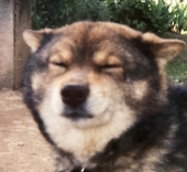 はるむ