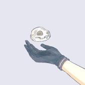 Y