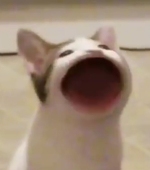 老子上來一拳