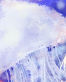 星鵲