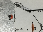 KM