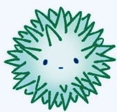 ばくだんウニ