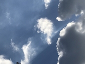 栗鼠