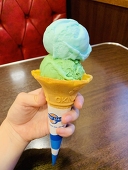 芝