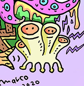 marco