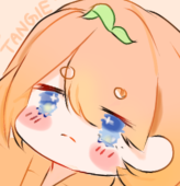 tokki