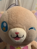 桐枝