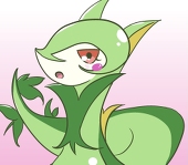 ジャローダァァァァァァァァ