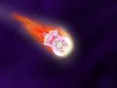 空羽猫
