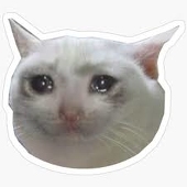 StoicheinCat