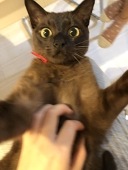 ぬぬ